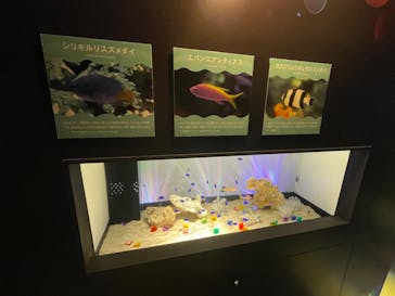 サンシャイン水族館に投稿された画像（2024/8/12）