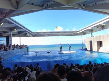 上越市立水族博物館 うみがたりに投稿された画像（2024/8/12）