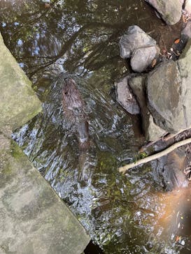 長崎バイオパークに投稿された画像（2024/8/12）