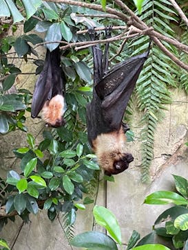 長崎バイオパークに投稿された画像（2024/8/12）