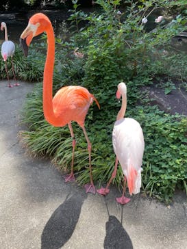 長崎バイオパークに投稿された画像（2024/8/12）