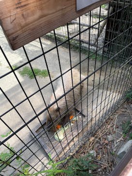 長崎バイオパークに投稿された画像（2024/8/12）