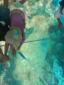 越前松島水族館に投稿された画像（2024/8/12）