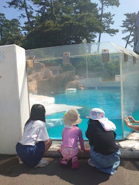 越前松島水族館に投稿された画像（2024/8/12）