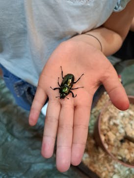 秋田ふるさと村に投稿された画像（2024/8/12）