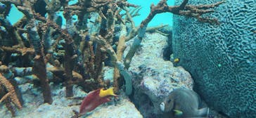 葛西臨海水族園に投稿された画像（2024/8/12）