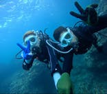 青の洞窟専門店　沖縄ダイビングショップ和に投稿された画像（2024/8/12）