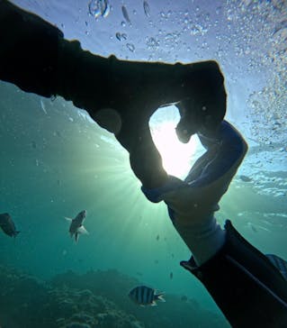 青の洞窟専門店　沖縄ダイビングショップ和に投稿された画像（2024/8/12）