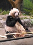 恩賜上野動物園に投稿された画像（2024/8/12）