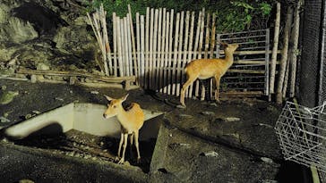日立市かみね動物園に投稿された画像（2024/8/12）