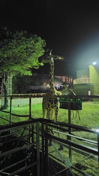日立市かみね動物園に投稿された画像（2024/8/12）