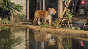 日立市かみね動物園に投稿された画像（2024/8/12）