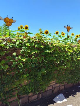 志摩スペイン村パルケエスパーニャに投稿された画像（2024/8/12）