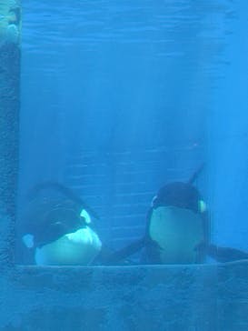名古屋港水族館に投稿された画像（2024/8/12）