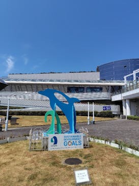 名古屋港水族館に投稿された画像（2024/8/12）