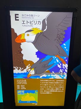 アクアワールド茨城県大洗水族館に投稿された画像（2024/8/12）