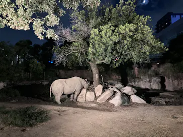 天王寺動物園に投稿された画像（2024/8/12）