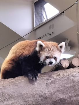 那須どうぶつ王国に投稿された画像（2024/8/12）