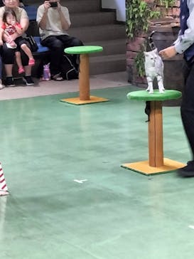 那須どうぶつ王国に投稿された画像（2024/8/12）