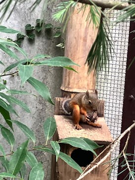 那須どうぶつ王国に投稿された画像（2024/8/12）