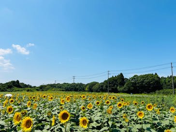 成田ゆめ牧場に投稿された画像（2024/8/12）