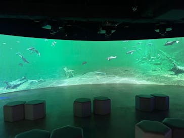 カワスイ 川崎⽔族館に投稿された画像（2024/8/12）