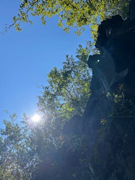 Nagomi Nature Connections（ナゴミ ネイチャー コネクションズ）に投稿された画像（2024/8/12）