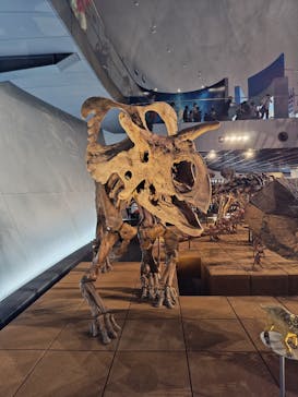 福井県立恐竜博物館に投稿された画像（2024/8/12）