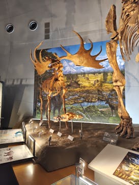 福井県立恐竜博物館に投稿された画像（2024/8/12）