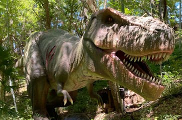 みろくの里に投稿された画像（2024/8/12）