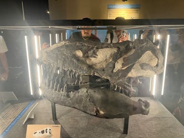 福井県立恐竜博物館に投稿された画像（2024/8/12）
