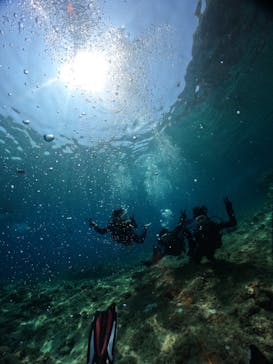 武藤潜水に投稿された画像（2024/8/12）
