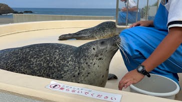 越前松島水族館に投稿された画像（2024/8/12）