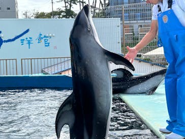 越前松島水族館に投稿された画像（2024/8/12）