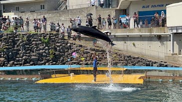 越前松島水族館に投稿された画像（2024/8/12）