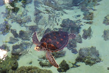 葛西臨海水族園に投稿された画像（2024/8/12）