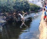 神戸どうぶつ王国に投稿された画像（2024/8/12）