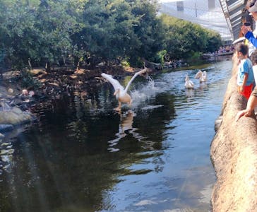 神戸どうぶつ王国に投稿された画像（2024/8/12）