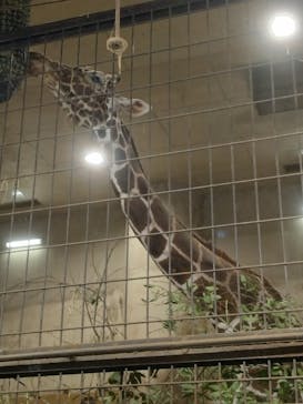 恩賜上野動物園に投稿された画像（2024/8/12）