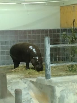 恩賜上野動物園に投稿された画像（2024/8/12）