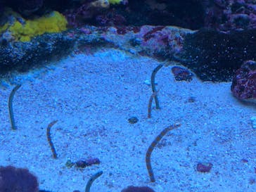 サンシャイン水族館に投稿された画像（2024/8/12）