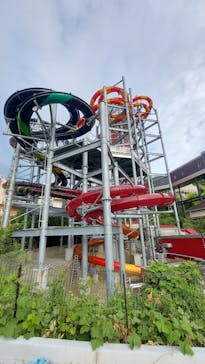 スパリゾートハワイアンズに投稿された画像（2024/8/12）