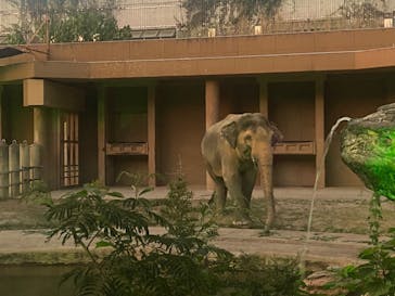 名古屋市東山動植物園に投稿された画像（2024/8/12）