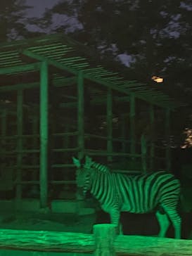 名古屋市東山動植物園に投稿された画像（2024/8/12）