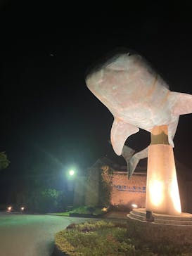 沖縄美ら海水族館に投稿された画像（2024/8/12）