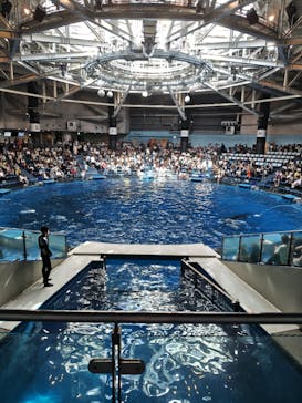 マクセル アクアパーク品川に投稿された画像（2024/8/12）