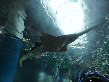 マクセル アクアパーク品川に投稿された画像（2024/8/12）