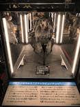 福井県立恐竜博物館に投稿された画像（2024/8/13）