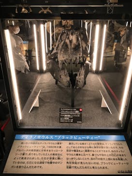 福井県立恐竜博物館に投稿された画像（2024/8/12）