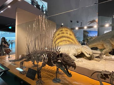 福井県立恐竜博物館に投稿された画像（2024/8/12）